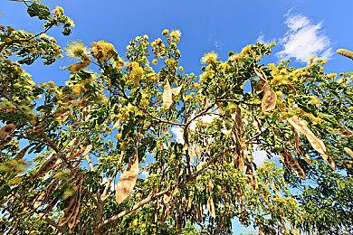 《上行战场》三号大型升级档发布 修复多处崩溃问题