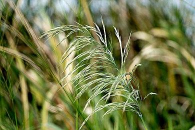 奇幻RPG《暗使》PC版将于10月24日推出